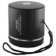 Портативная многофункциональная Bluetooth колонка WSTER WS-231BT - изображение 1