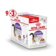 Вологий корм для стерилізованих котів Royal Canin Sterilised Jelly 85г, 9+3 шт у подарунок (домашній птах) - зображення 1