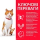 Hill's SP Feline Adult Young Sterilised Cat сухой корм для стерилизованных котов с курицей (3 кг) - изображение 2