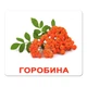 Набор больших ламинированных карточек Домана Ягоды на украинском 20 шт Вундеркинд с Пеленок (2100064094217) - изображение 3