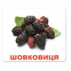 Набор больших ламинированных карточек Домана Ягоды на украинском 20 шт Вундеркинд с Пеленок (2100064094217) - изображение 7