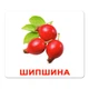 Набор больших ламинированных карточек Домана Ягоды на украинском 20 шт Вундеркинд с Пеленок (2100064094217) - изображение 9