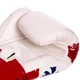 Перчатки боксерские кожаные FAIRTEX THAI PRINT (размер 14oz, белый-синий-красный) (BGV1-THAI_14_унции) - изображение 4