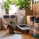 Biokats Classic Fresh 3in1 наповнювач бентонітовий 10 л - весняні трави - изображение 5