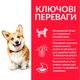 Корм Hill's Science Plan Canine Adult Small & Miniature Lamb & Rice сухий з ягнятком для собак малих порід 6 кг - зображення 2