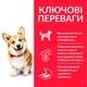 Cухий корм для собак Hill’s Science Plan Small&Mini Adult 6 кг - курка - изображение 3