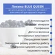 Саджанець лохини (чорниці) сорту БЛУ КВІН (BLUE QUEEN) 2 роки висота 45-60 см - зображення 5
