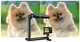 Монопод Telesin 3-WAY (TE-TPR-009) - изображение 9