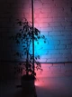 Кутовий Led торшер, освітлення для селфі, ніч нічник, RGB підсвічування, 1 м. Сенсорний пульт управління - зображення 8
