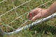 Футбольные ворота Garlando Field Match POR-15 (929775) - изображение 5