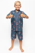 Піжама для хлопчика Cyberjammies Jasper 6789 4-5 років/110 см Зелений з принтом піратського корабля (5051877435766) - изображение 1