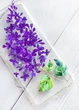 Прозорий чохол на Samsung Galaxy A54 5G / A546 :: Гілочка бузку (принт 280) - зображення 2