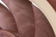 Кулер Noctua NF A12x25 LS-PWM (NF-A12X25 LS-PWM) - изображение 6