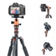 Штатив фирмы + монопод YESSBON для фотоаппаратов - Q-555 (Q555) + головка - изображение 4