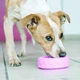 Жувальне колесо для цуценят KONG Puppy Tires M/L pink - зображення 4