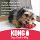 Іграшка для прорізування зубів для цуценят KONG Puppy Teething Stick M pink - зображення 6