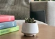 Керамический горшок для кактусов Mini Plant размер XS 4,9х5,2см Трапеция Белый - изображение 1