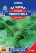 Пальма китайська Лівістона насіння (5 шт), Collection, TM GL Seeds - зображення 1