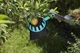 Плодосъемник Gardena Combisystem FruitPicker (03115-20.000.00) - изображение 4