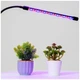 Фитолампа для растений LED Plant Grow Light 18W, лампа для цветов гибкая со сменой цвета, фитосветильник (1009937-Black) - изображение 7
