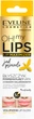 Блеск для увеличения объема губ Eveline Oh! My Lips – Lip Maximizer Пчелиный яд 4.5 мл (5903416001898) - изображение 1