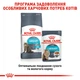 Влажный корм для взрослых кошек ROYAL CANIN URINARY CARE 85 г x 4 шт. - изображение 8