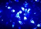 Гірлянда Бахрома 3на 50 Led (чорний кабель) Синя 7м - зображення 3