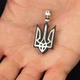 Серебряный кулон "Герб Украины - Тризуб" с эбеновым деревом 959 Онікс - изображение 3