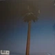 Виниловая пластинка Miley Cyrus - Endless Summer Vacation - изображение 3