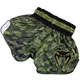 Шорты для тайского бокса Venum Tecmo Muay Thai Shorts Khaki (03146-015-S) - изображение 4