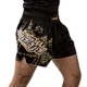 Шорты для тайского бокса Hayabusa Falcon Muay Thai Shorts Black (HFMTS-BK-S) - изображение 3