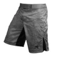 Шорты для MMA Hayabusa Hexagon Fight Shorts Grey (HHFSG-30) - изображение 1