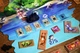 Дополнение Острів котів: Кошенята і звірята (The Isle of Cats: Kittens + Beasts Expansion, Остров кошек) - изображение 8