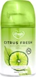 Упаковка сменных аэрозольных баллонов iFresh Citrus fresh 250 мл х 2 шт (iF-000046) - изображение 2
