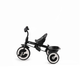 Триколісний велосипед Kinderkraft Aston Malachite Grey (KRASTO00GRY0000) - зображення 7