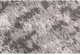 Dywan Decor Magic Home Lyon Szary 200x300 (LYON SZARY 200X300) - obraz 5