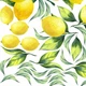 Вінілові наклейки фрукти для декору Жовті лимони з листям набір стікерів оригінальні глянцева - зображення 7
