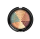 Тени для глаз Wet n Wild Color Icon Eyeshadow "Earth" - изображение 1