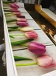 Кухонный фартук Скинали Тюльпаны (наклейка для кухни, самоклеющаяся виниловая пленка ) под дерево 60х200 см - изображение 11