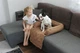 Лежак для Собак и Котов на диван Haustier Sofa Bed Gold S - 60х90х15см (S9-1-041) - изображение 6