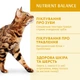 Сухой корм для кошек Optimeal с курицей 200 + 100 г (4820215362559) - изображение 3