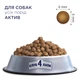 Сухой корм для собак Club 4 Paws Премиум. Актив 14 кг(UP) (4820215366274) - изображение 3