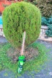 Кусторез аккумуляторный Greenworks G40HT61 - изображение 4