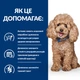 Сухий корм для собак Hill's Prescription Diet Gastrointestinal Biome Mini 1 кг - курка - зображення 4