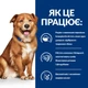 Cухий корм для собак Hill’s Prescription Diet Derm Complete 4 кг - яйце та рис - изображение 3