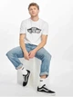 Футболка Vans VN000GGGYMM S (102436S) Белый - изображение 3