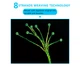 Шнур OWNER KIZUNA Broad PEx8 #0.13мм 6.7кг 300м мulti color (56122-013) - изображение 4
