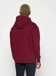 Худи утепленное мужское Tommy Hilfiger 433964081 3XL Бордовое (1159777733) - изображение 2