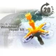Комплект для ремонту лобового скла "Windshield repair kit", набір для ремонту тріщин лобового скла (VS7005982) - изображение 2