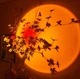 Светодиодная лампа для селфи с эффектом заката sunset Lamp круглая проекционная лампа 16 см - изображение 7
